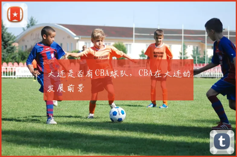 大连是否有CBA球队,CBA在大连的发展前景